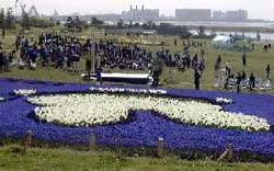 頭の方から見た花絵