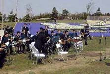 ���h�����y��