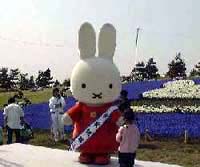 �~�b�t�B�[�ǂ�ǂ񂨎d��