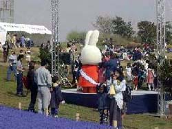 �~�b�t�B�[���p