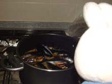 ���[���L�ł܂�����