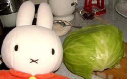 ��ł���ׂ�