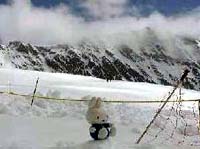 雪原ミッフィー