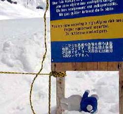 雪原で転ぶミッフィー