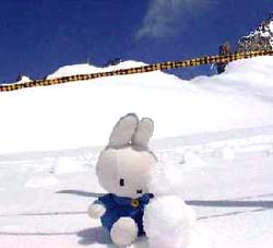 ゆきだるま