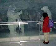 氷の踊る熊さん