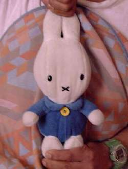 びっくりミッフィー