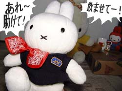 �����f���b�`�~�b�t�B�[�I