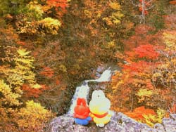 �������葊���̑���̂���