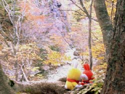 ������t��