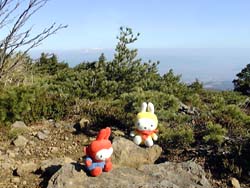 ���B���ǎR�`��t�x�ւ̓�