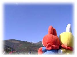 ���ꂪ���B���ǎR