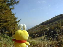 ��t�x�`���x����։��铹