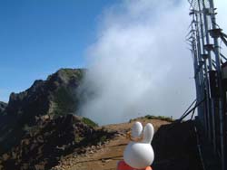 横岳方面をのぞむ