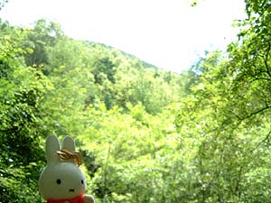 行者小屋までの登山道