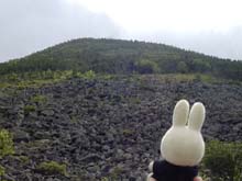 青年小屋前庭より編笠山