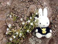 �~���}�~�~�i�O�T