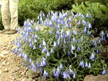 �z�\�o�q���V���W��