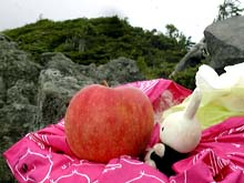 ����̂��