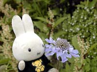 �}�c���V�\�E