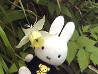 ���}�I�_�}�L