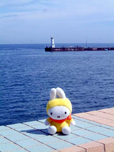 �ɓ��̌����ɂ�