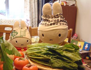 �ق���񂻂��Ȃ�