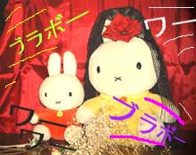 �J�[�e���R�[��