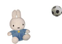 サッカーミッフィー