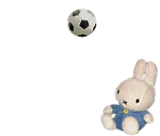 サッカーミッフィー