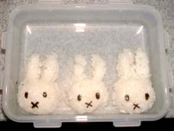 おにぎり使用例