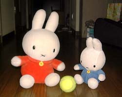 �T�b�J�[�I