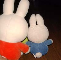 �̓�����