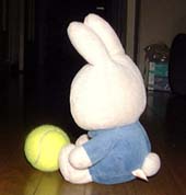 �V�����X�P����