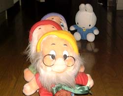 �V�����X�P������