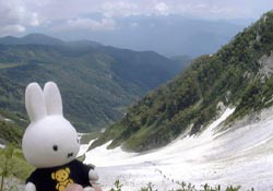 ネギ平よりミッフィー