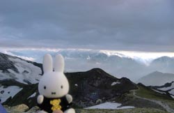 ���n�R���O