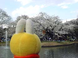 �r�̂قƂ�ɂ�