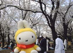 �Ԍ��̂ɂ��킢