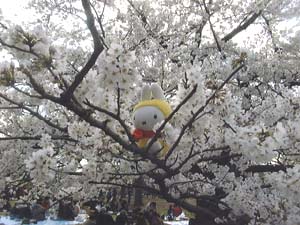 ���̒��łۂ��