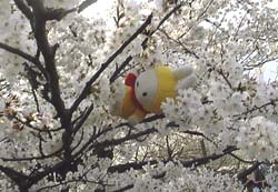 ���̒��ł��Ђ��