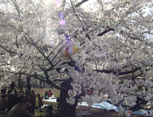 ���̒��ł��Ђ�˂Q