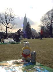 都会の公園だわね