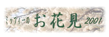 ���Ԍ��Q�O�O�P