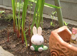 ミフィ銀ミッフィーと乳母車テラコッタ