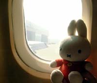 ひこうきのミッフィー
