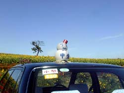 タクシーだるま