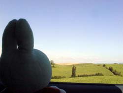 美瑛の丘のミッフィー