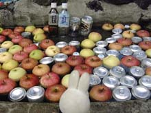 プカプカin明神館