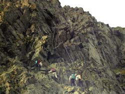 �����̂����゠����